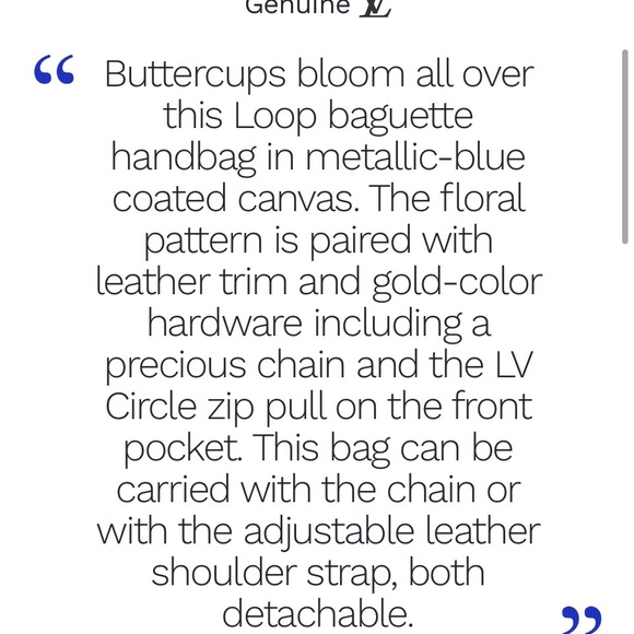 Louis Vuitton loop baguette in metallic blue with LV logo coated canvas. New. - Picture 7 of 15